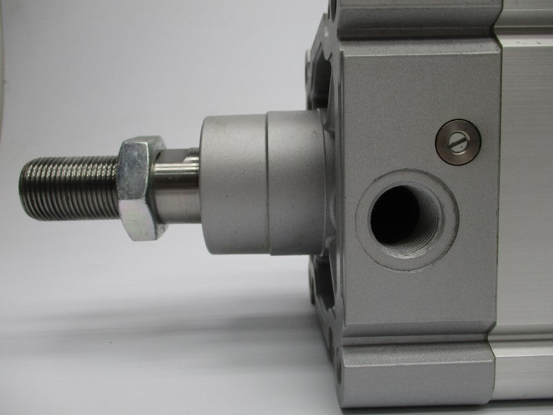 FESTO DNC-125-300-PPV-A 163496 NSNP