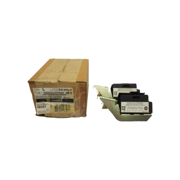 SQUARE D EK300-1 48307 SER. D2 30A (PACKAGE OF 2) NSMP