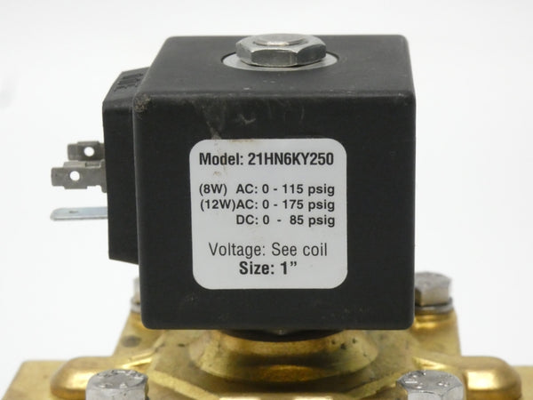 GRANZOW 21HN6KY250 0-175PSI 1-1/4" NSNP