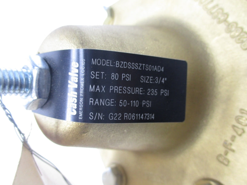 CASH VALVE BZDSSSTS01AD4 80PSI 3/4" NSNP