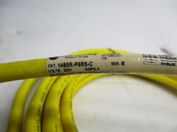 ALLEN BRADLEY 1485R-P6R5-C SER. B 250V 4A NSMP