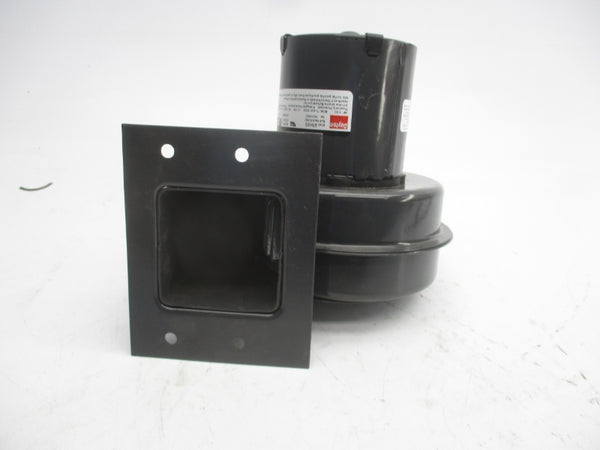 DAYTON 6FHX5 115V NSNP