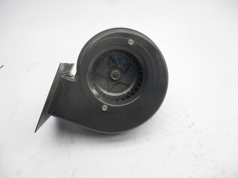 DAYTON 6FHX5 115V NSNP