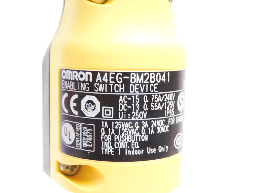 OMRON A4EG-BM2B041 240VAC 0.75A NSMP