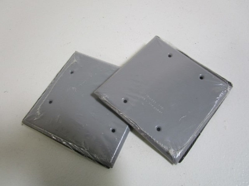 LOT OF 2 EGS  WCB24 NSNP