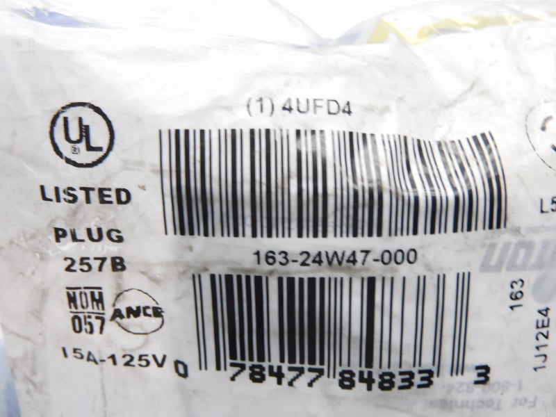 LEVITON 163-24W47-000 4UFD4 125V 15A NSMP