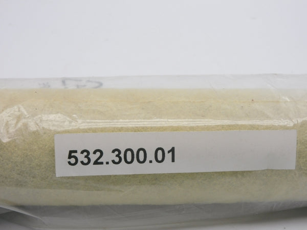 532-300-01 NSNP