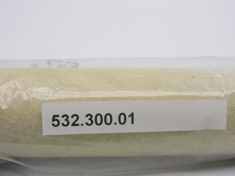 532-300-01 NSNP