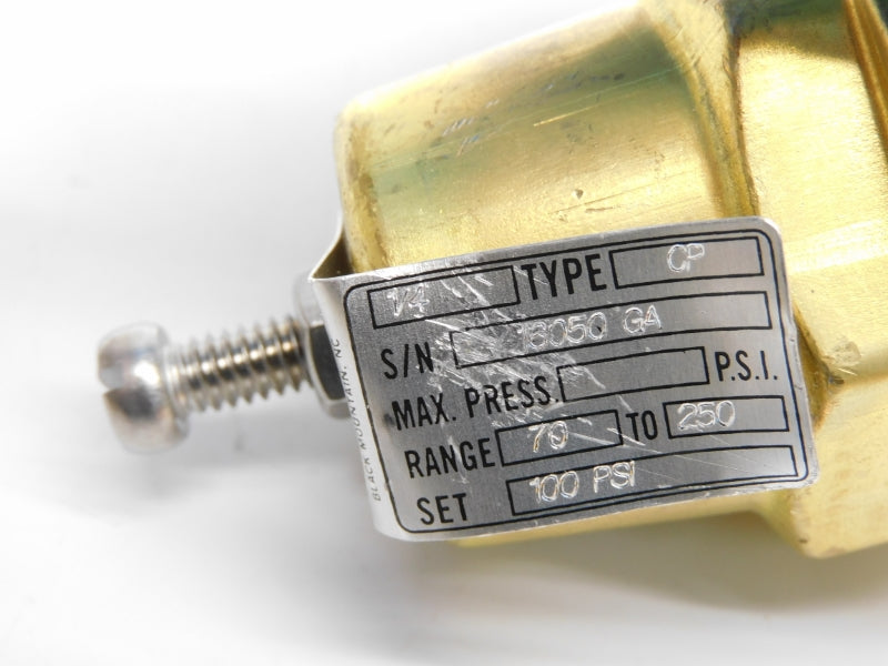 CASH VALVE CP 100SPI 1/4" NSNP