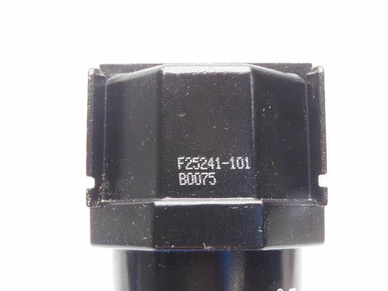 ARO F25241-101 150PSI 1/2" NSMP