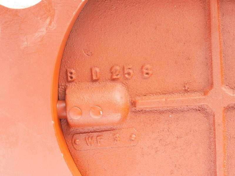 VALV TECH BD258 8" NSNP