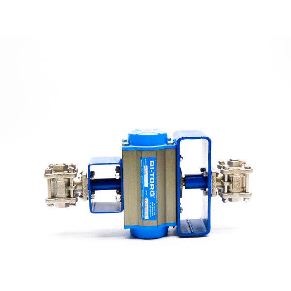 BI-TORQ BI63SR 150PSI 3/8" NSNP