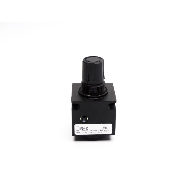 WATTS R75-03C 300PSI NSNP