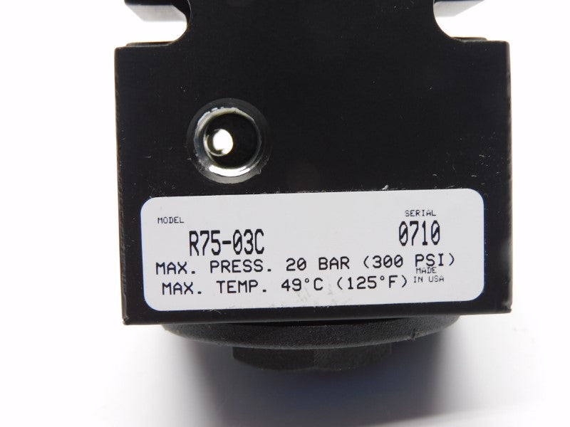 WATTS R75-03C 300PSI NSNP
