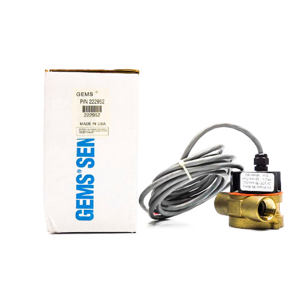 GEMS 222952 24VDC NSMP
