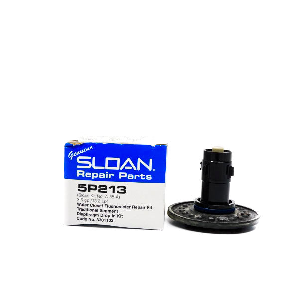 SLOAN 5P213 NSMP