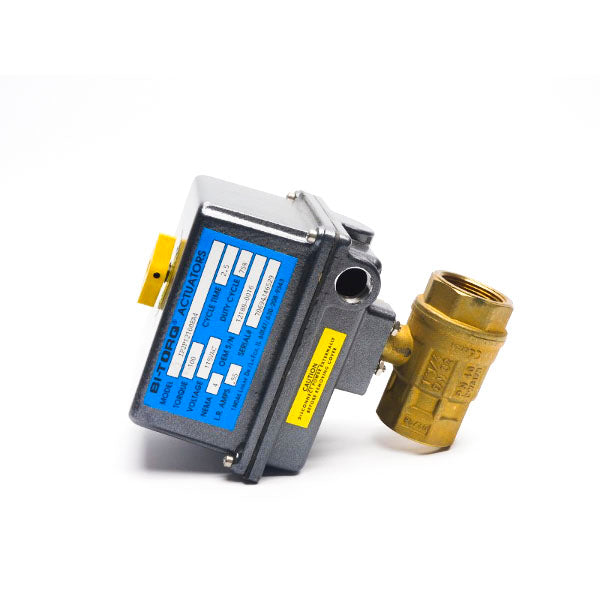 BI-TORQ IP2P12100EA4 115VAC .55A NSNP