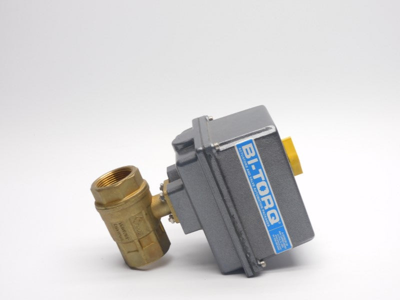 BI-TORQ IP2P12100EA4 115VAC .55A NSNP
