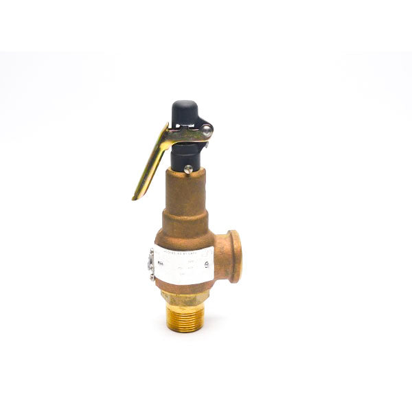 KUNKLE 6021EE01-LM 100PSI 1" NSNP