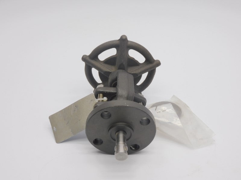 FLOWSERVE 21000 1" NSNP