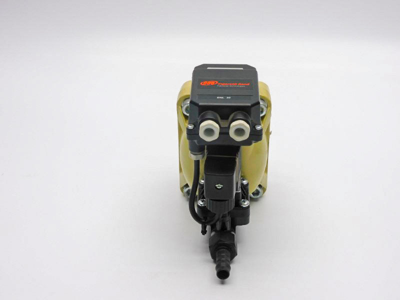 INGERSOLL RAND 38445979 230V 12-230PSI NSNP
