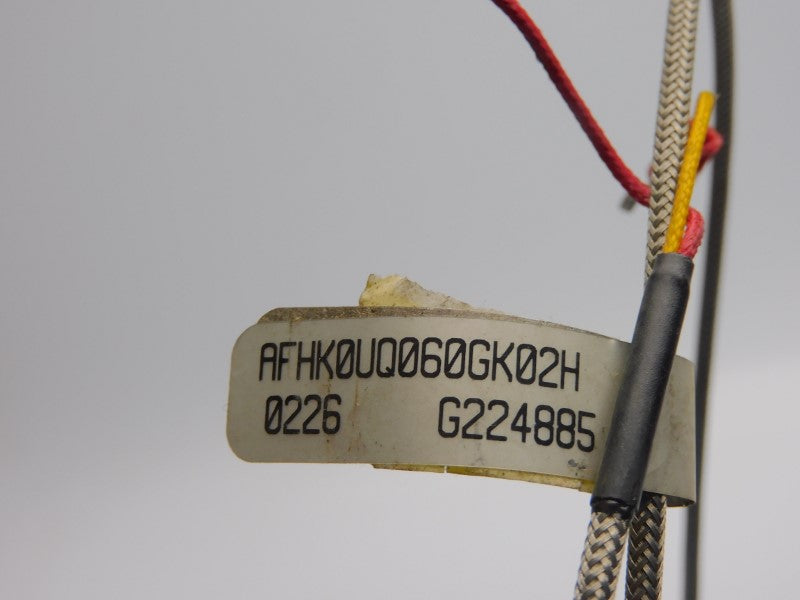 WATLOW AFHK0UQ060GK02H NSNP