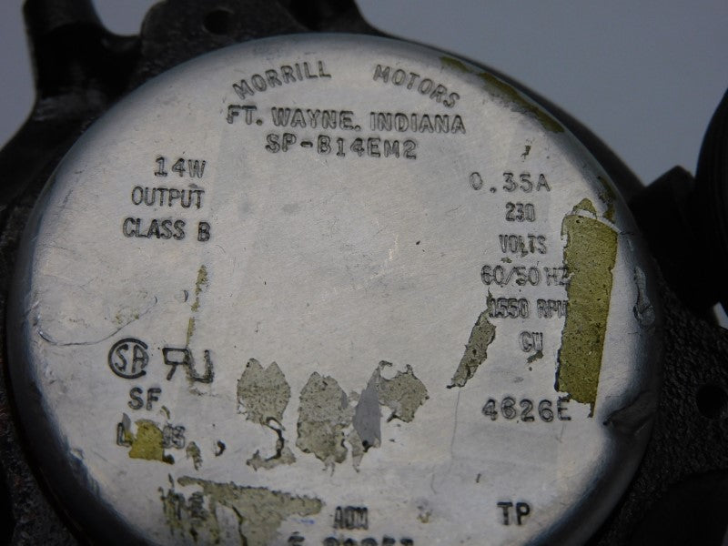 MORRILL MOTORS SP-B14EM2 230V 0.35A NSNP