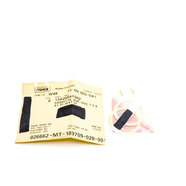 FISHER CONTROLS 13A2654X062 (PKG OF 2) NSMP