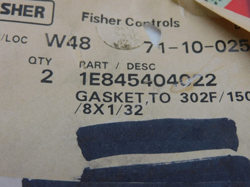 FISHER CONTROLS 1E845404022 (PKG OF 2) NSMP
