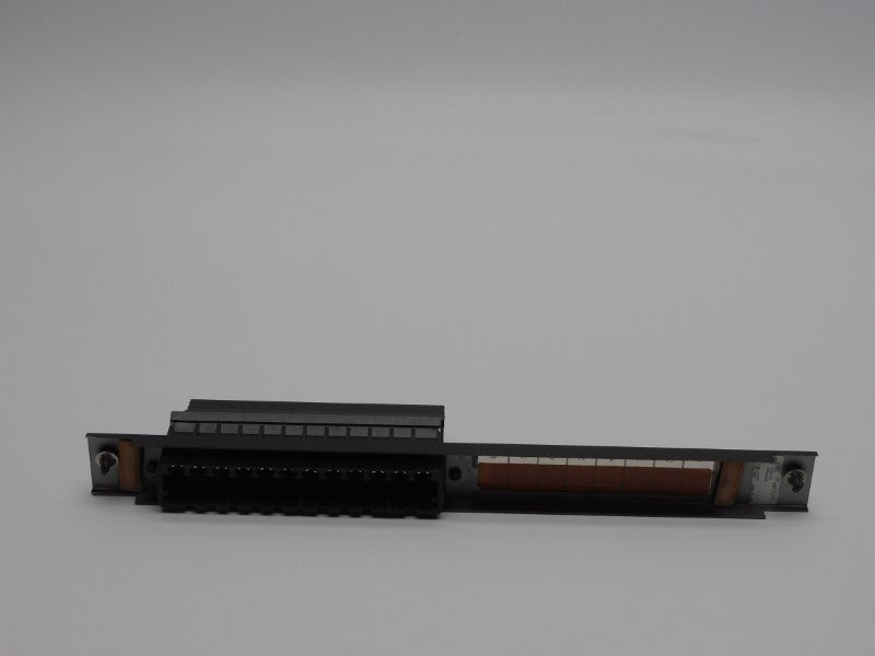 FANUC IC600FP804K 115V NSNP