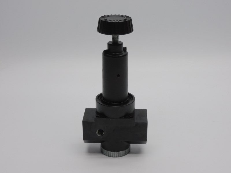 WILKERSON R30-08-000 300PSI NSNP