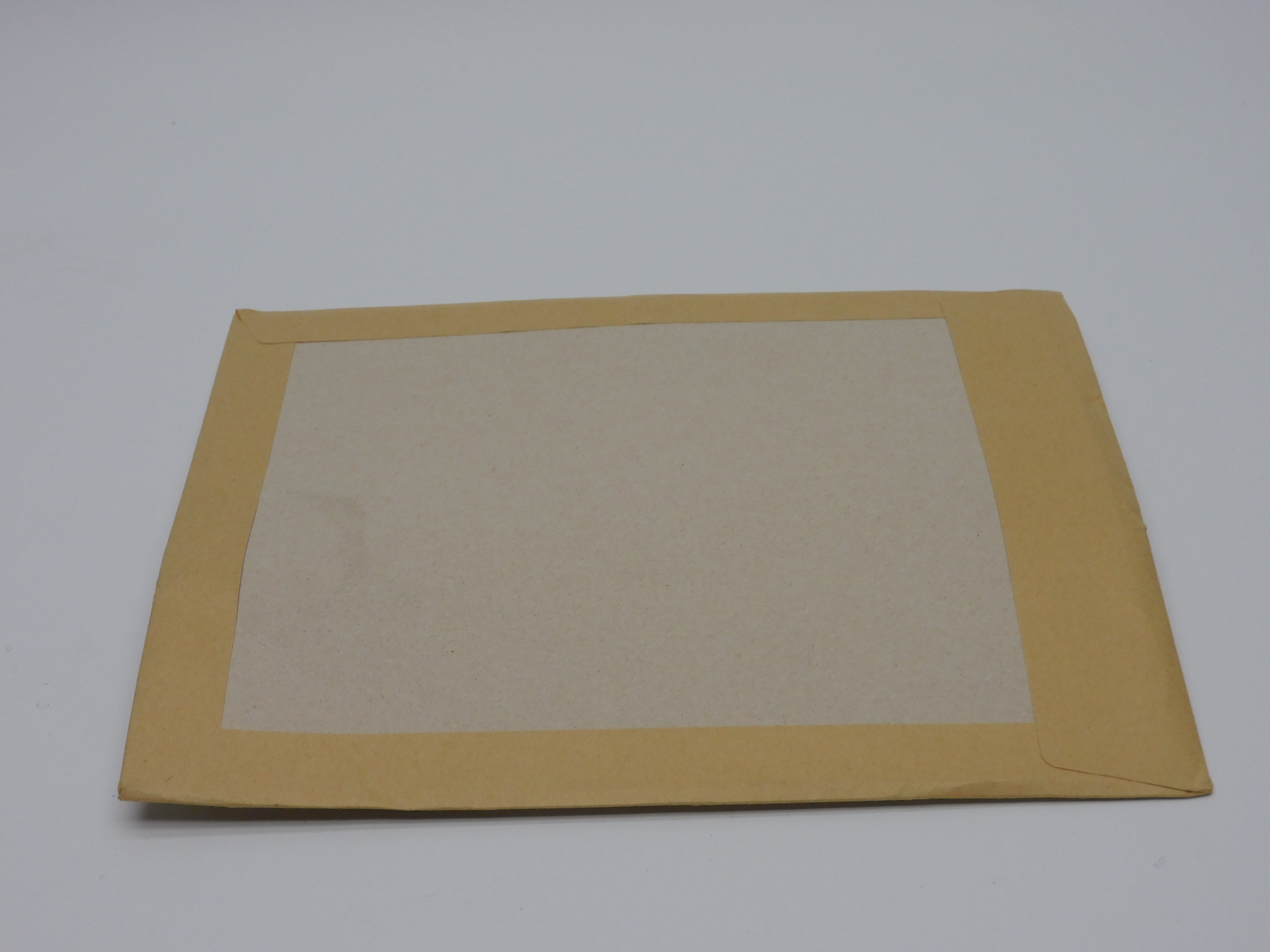 SPIRAX SARCO 0668082 2" NSMP