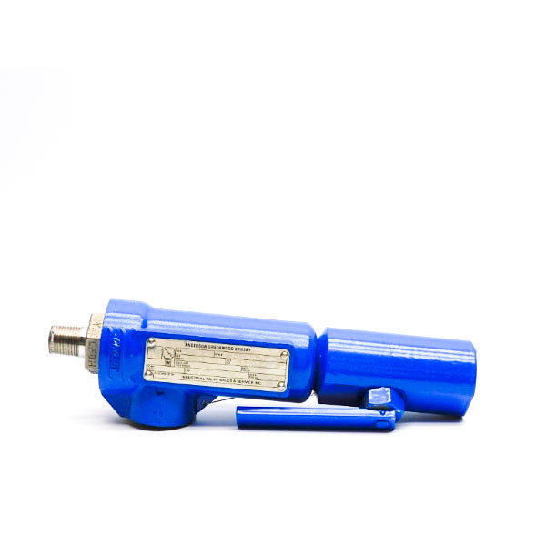 ANDERSON GREENWOOD CROSBY 951100MFD 100PSI 1/2"X1" NSNP