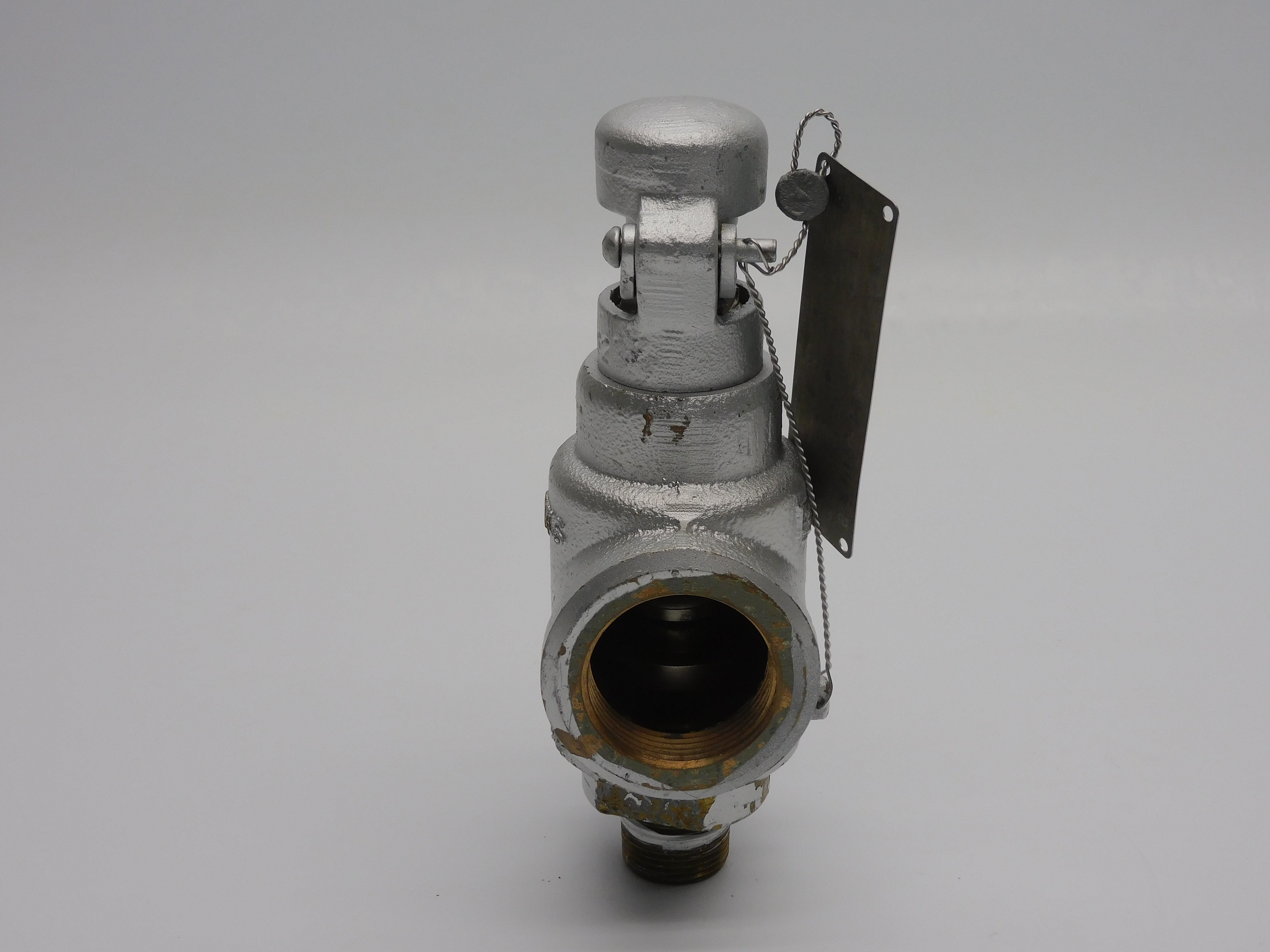 TELEDYNE 2856-01 100PSI .75"X1.25" UNMP