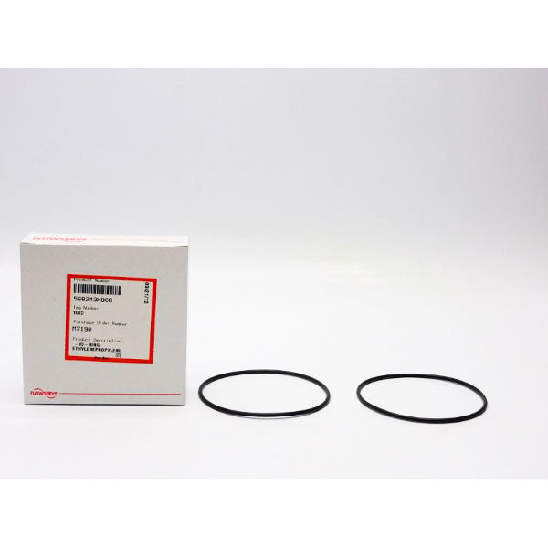 FLOWSERVE 568243X806 (PKG OF 2) NSMP