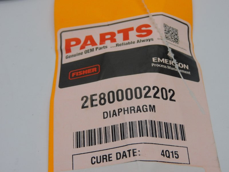 FISHER 2E800002202 NSNP