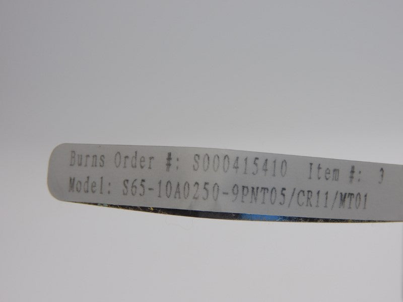 BURNS S65-10A0250-9PNT05/CR11/MT01 NSNP