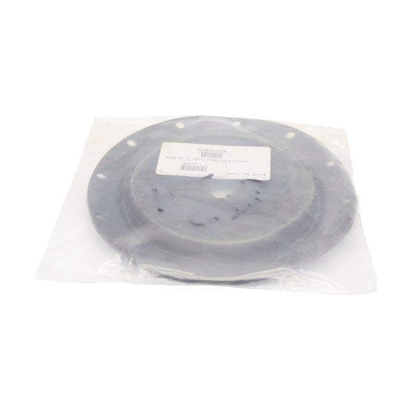 DIAPHRAGM A3840094 NSMP