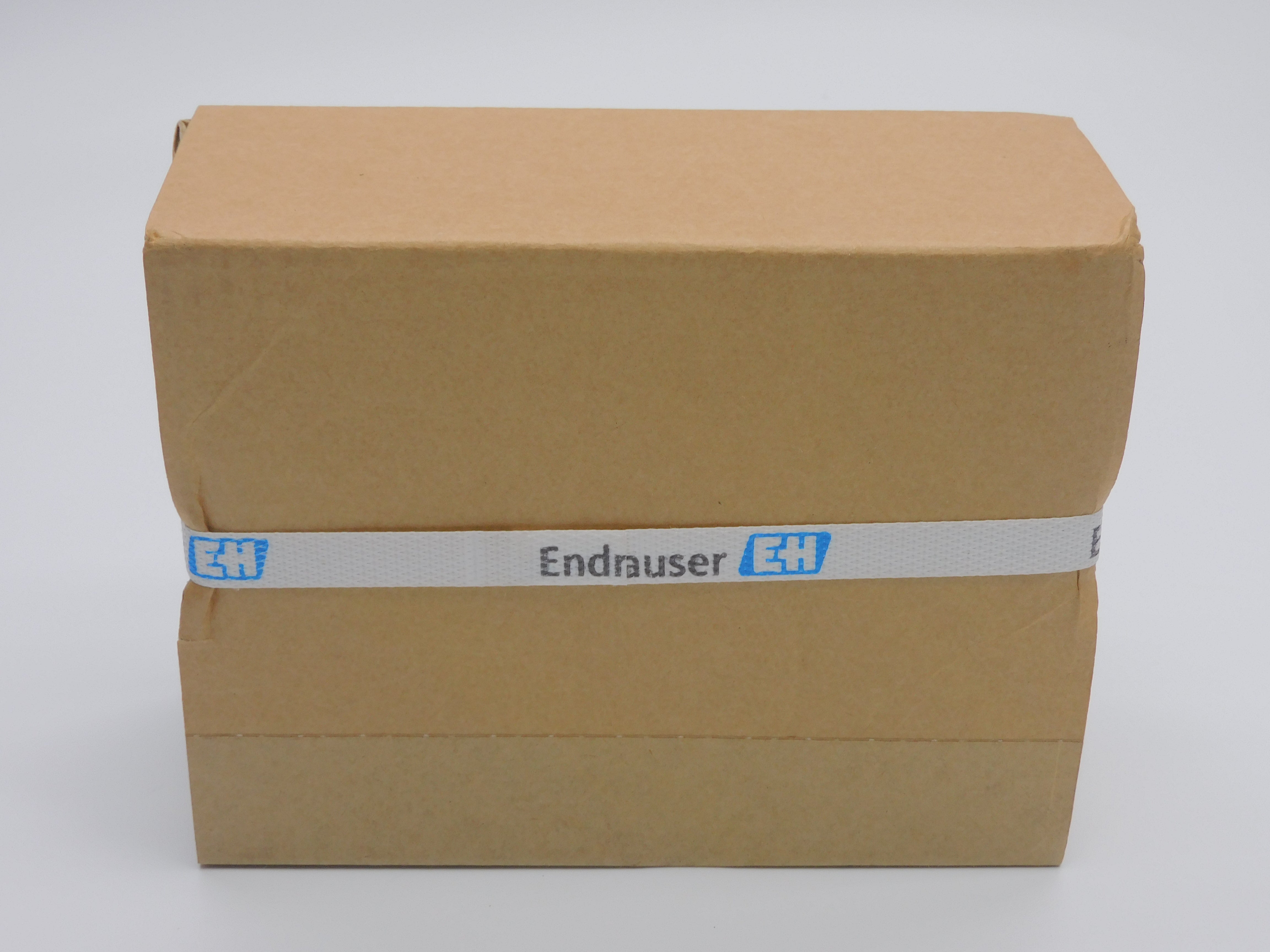 ENDRESS+HAUSER 71323079 NSFS