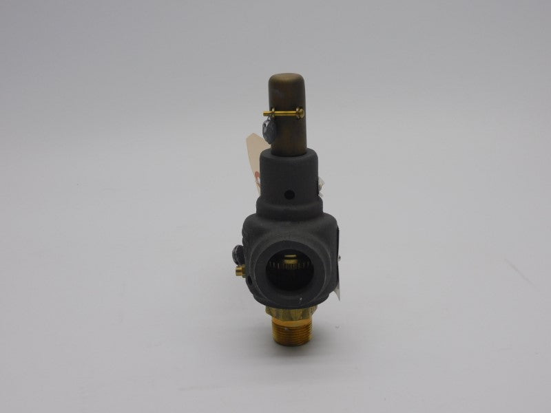 DRESSER 1543E-21 50PSI 3/4" NSMP