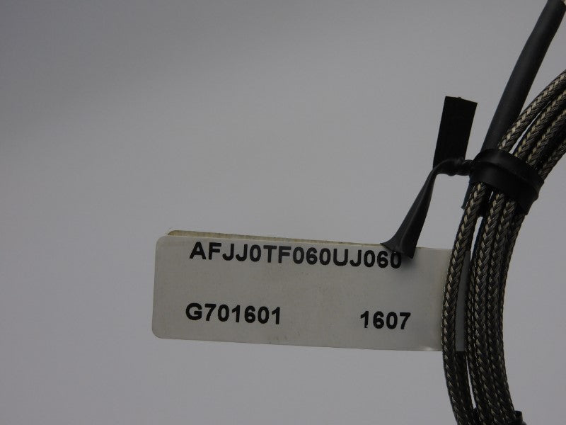 WATLOW AFJJ0TF060UJ060 NSNP