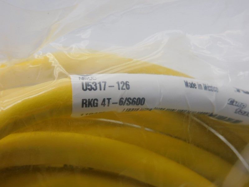 TURCK RKG4T-6/S600 U5317-126 250V 4A NSMP