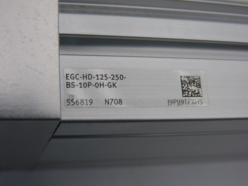 FESTO EGC-HD-125-250-BS-10P-0H-GK 556819 NSNP