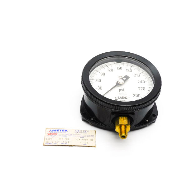 AMETEK 1901 300PSI NSNP