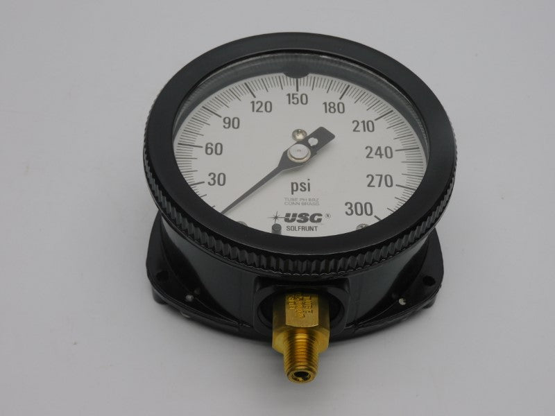 AMETEK 1901 300PSI NSNP