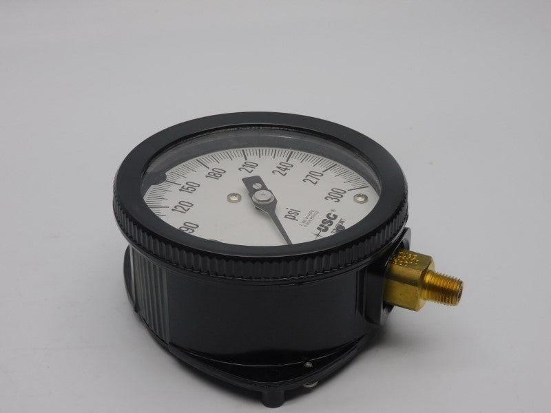 AMETEK 1901 300PSI NSNP