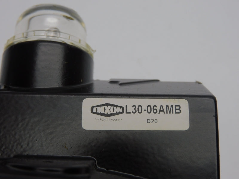 DIXON L30-06AMB NSNP