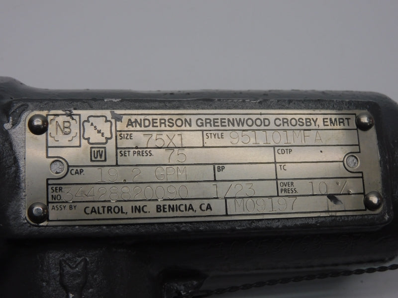 ANDERSON GREENWOOD CROBY 951101MFA 75PSI .75X1" NSNP