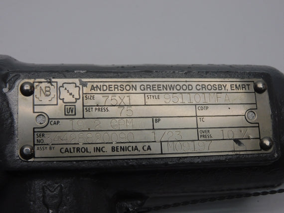 ANDERSON GREENWOOD CROBY 951101MFA 75PSI .75X1" NSNP