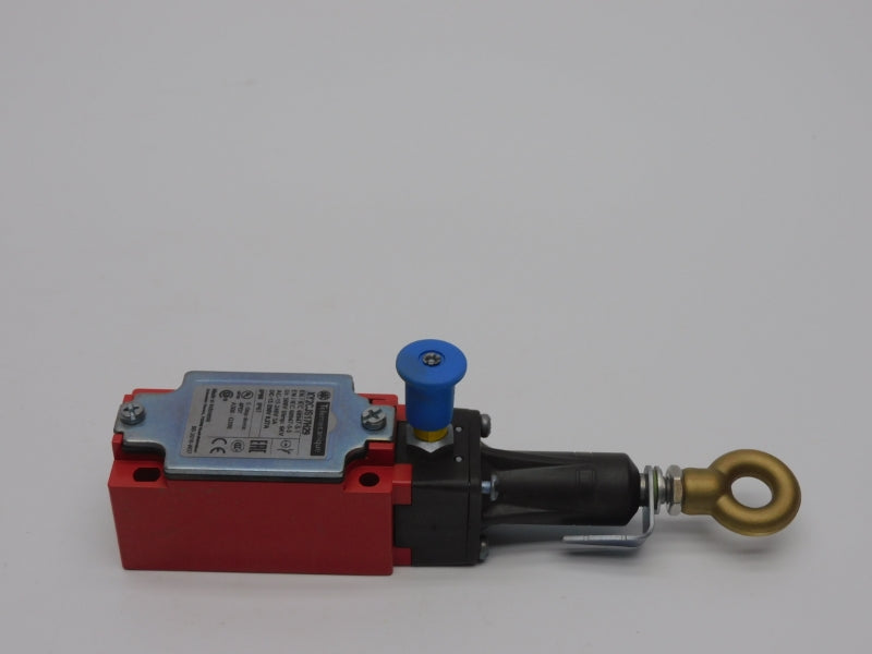 TELEMECANIQUE XY2CJS17H29 250V 3A NSMP